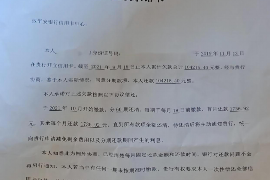 黄南融资清欠服务